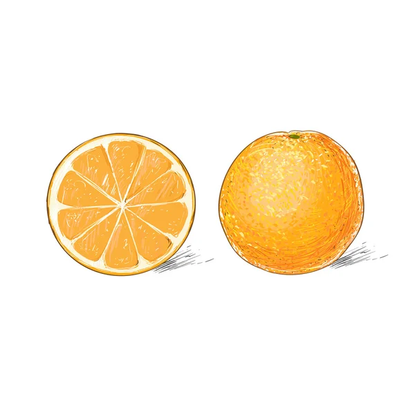 Une orange juteuse et demie — Image vectorielle