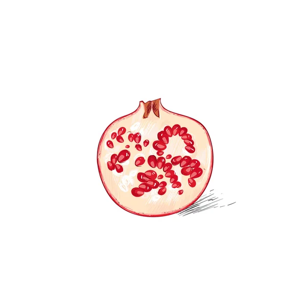 Half of  fresh pomegranate — Stock Vector