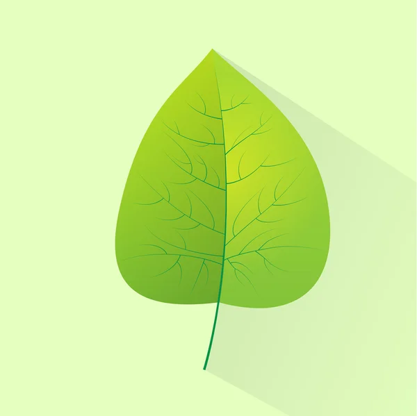 Folha verde fresca — Vetor de Stock