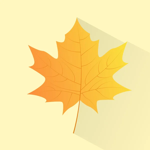 Maple tree leaf — Stock Vector