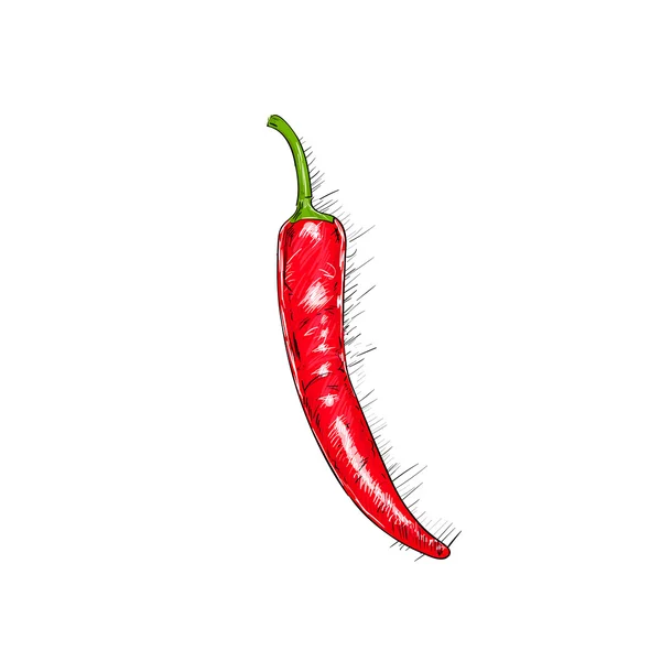 Red chili pepper — Stock Vector