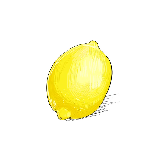 Ilustrador de limão desenhado — Vetor de Stock