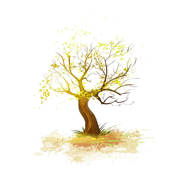 Automne arbre feuilles jaunes — Image vectorielle