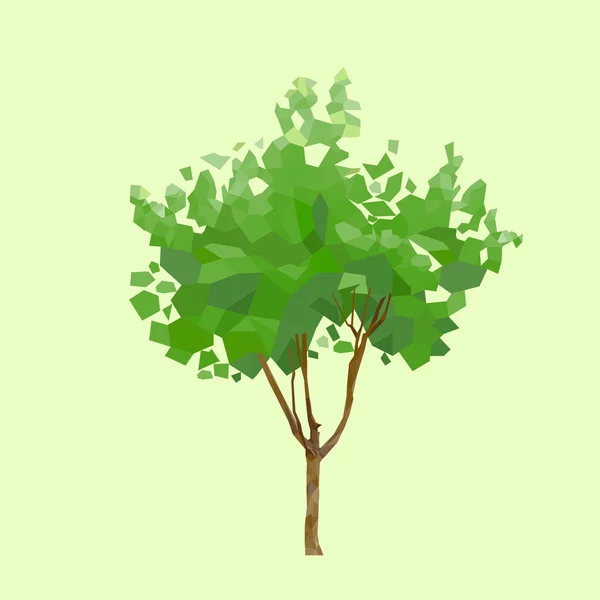 Árbol hojas verdes — Vector de stock