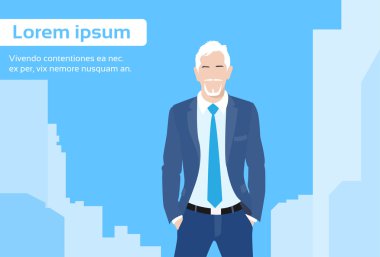 Üst düzey işadamı patron
