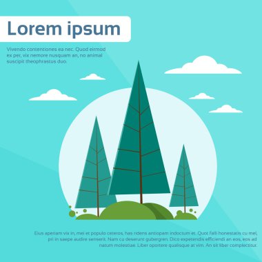 Noel ağaçları ve gökyüzü