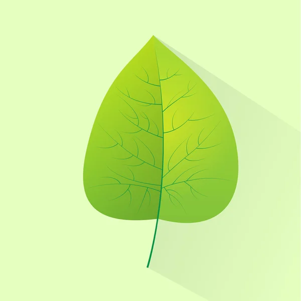 Fresh green leaf — Stock Vector
