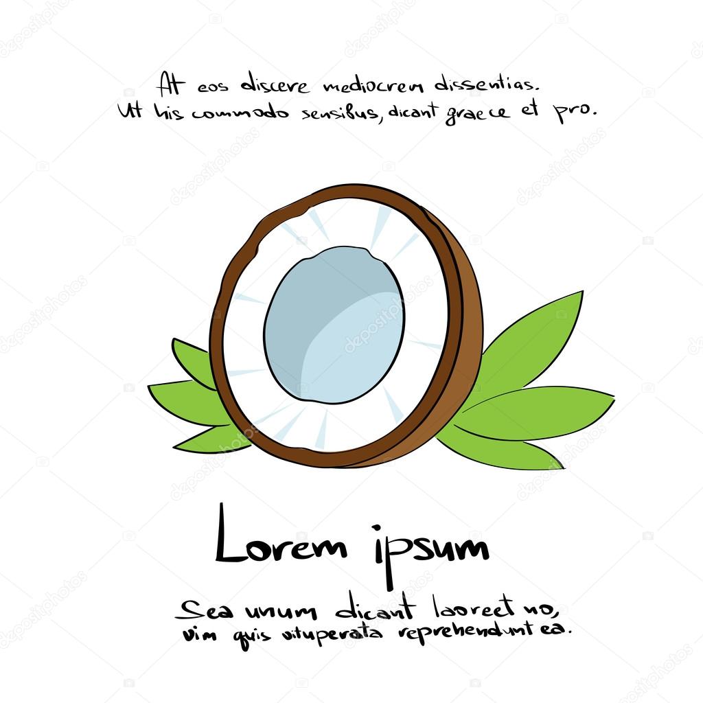 Coconut ,Half Cut, Hand Draw, Logo ,Color, Icon Set ,Vector Illustration