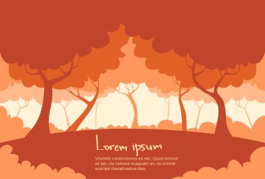 sonbahar manzara orman