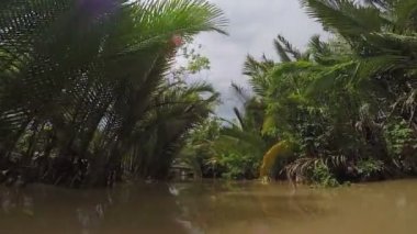 Yağmur ormanları kanalına Nehri üzerinde tekne turu