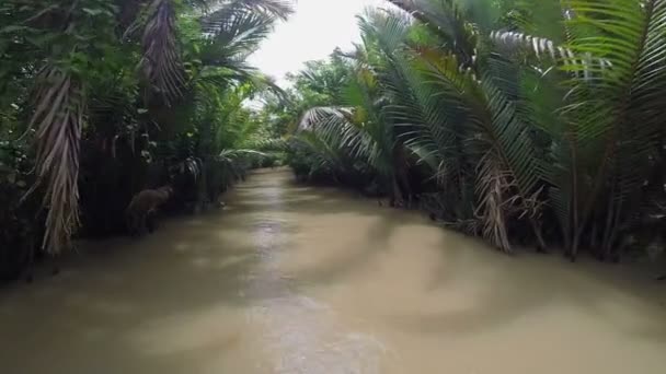 Perjalanan perahu sungai di kanal — Stok Video