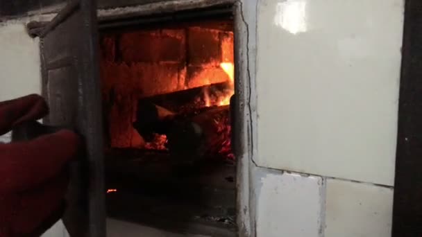 Hogar estufa de leña fuego — Vídeos de Stock
