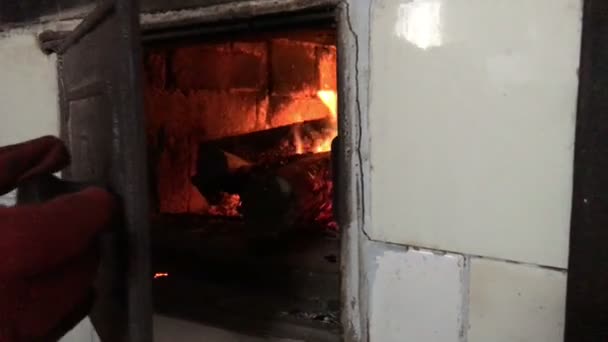 Domestic  wood burning stove fire — Stock Video