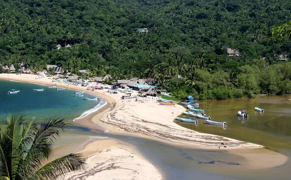 Nehir okyanus buluştuğu yer