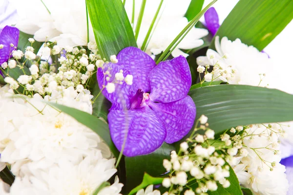 Bouquet of flowers set Stock Image