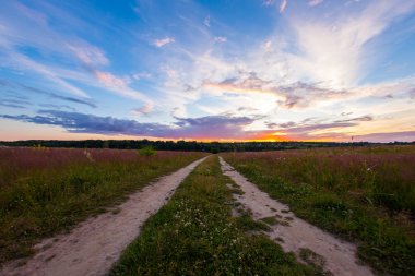 Mavi gökyüzü günbatımı parlak yaz