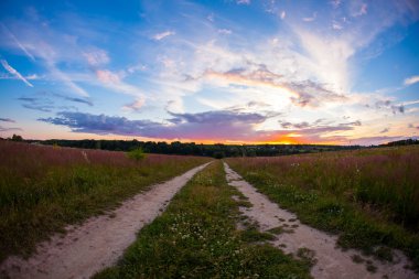 Mavi gökyüzü günbatımı parlak yaz