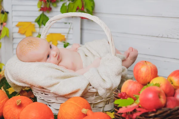 Bambino nel cesto con le zucche. autunno — Foto Stock