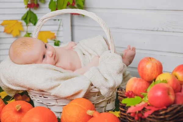 カボチャとバスケットの赤ちゃん。秋 — ストック写真