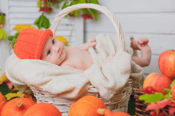 Bambino nel cesto con le zucche. autunno — Foto Stock