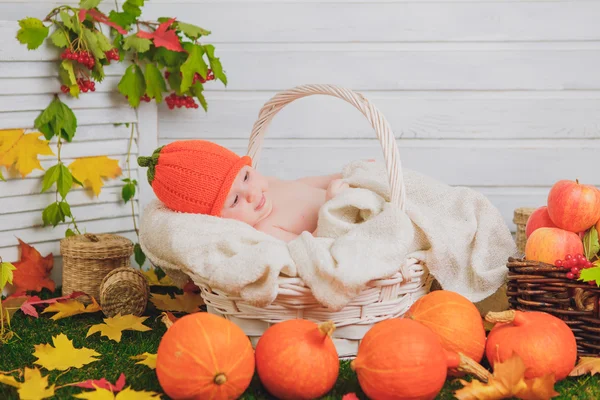 Bambino nel cesto con le zucche. autunno — Foto Stock