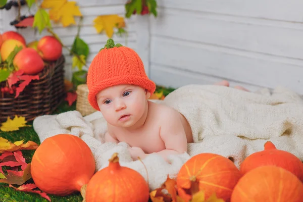 Bambino nel cesto con le zucche. autunno — Foto Stock