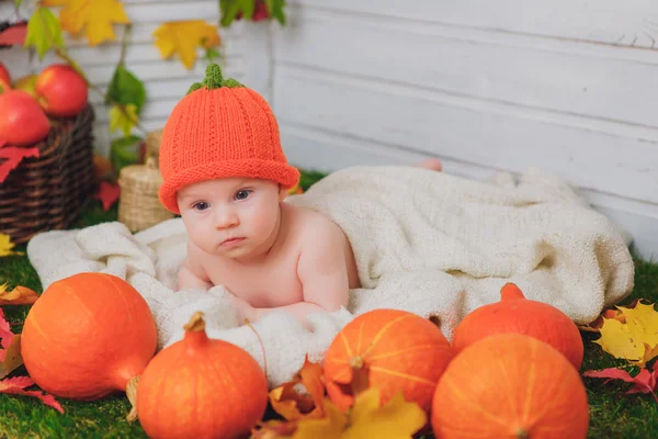 Bambino nel cesto con le zucche. autunno — Foto Stock