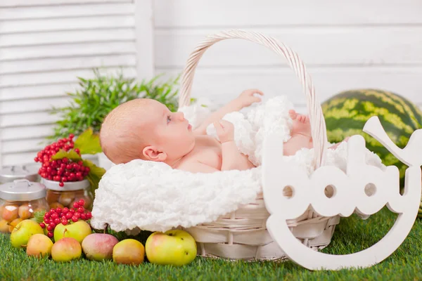 新生儿在篮子里的水果和蔬菜 — 图库照片