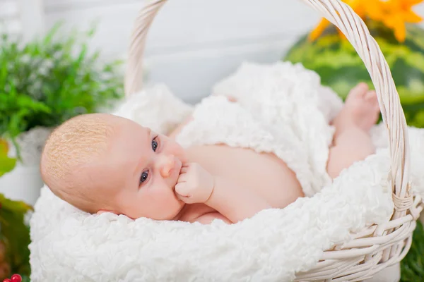 Baby in mandje met groenten en fruit — Stockfoto