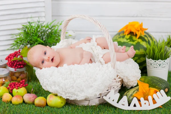 新生児の果物と野菜のバスケット — ストック写真