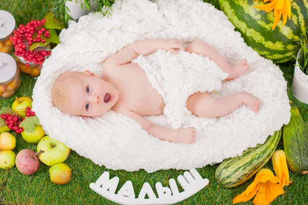 Neonato in cesto con frutta e verdura — Foto Stock