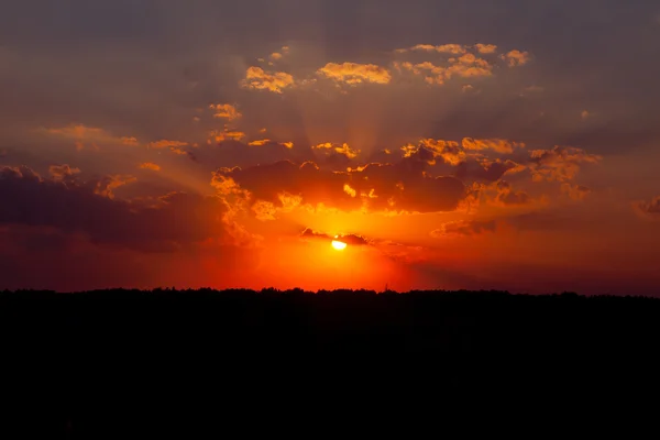 Pôr-do-sol de verão no campo. uma noite quente . — Fotografia de Stock