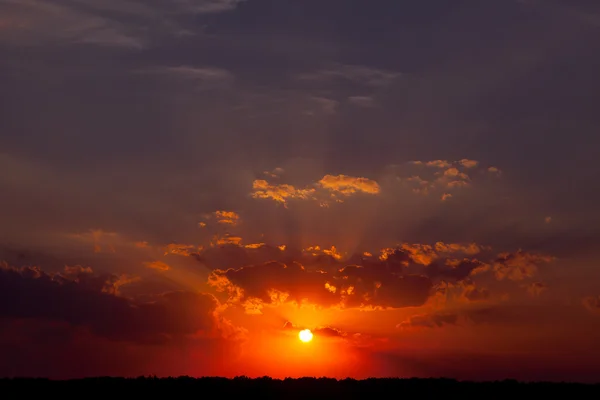 Pôr-do-sol de verão no campo. uma noite quente . — Fotografia de Stock