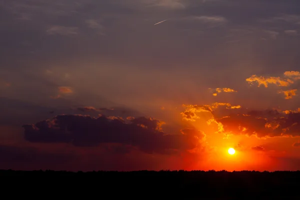 Pôr-do-sol de verão no campo. uma noite quente . — Fotografia de Stock