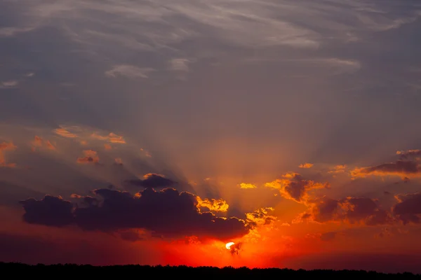 Pôr-do-sol de verão no campo. uma noite quente . — Fotografia de Stock