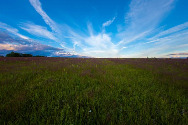 Brillante puesta de sol de verano contra el cielo azul — Foto de Stock