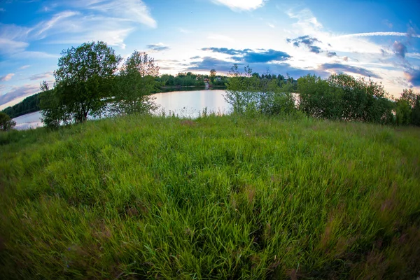 Bright summer sunset against blue sky — Stock Photo, Image