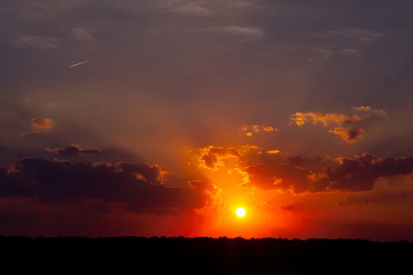 Zomer zonsondergang in het veld. een hete avond. Stockfoto