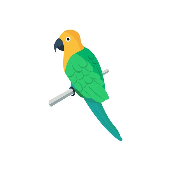 Плоская векторная икона попугая . — стоковый вектор
