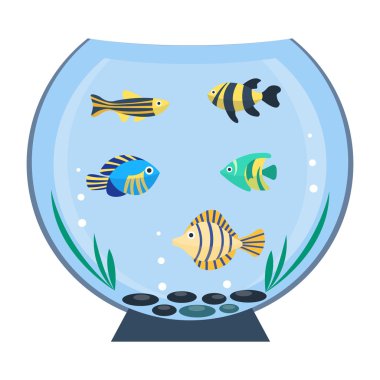Düz vektör akvaryum