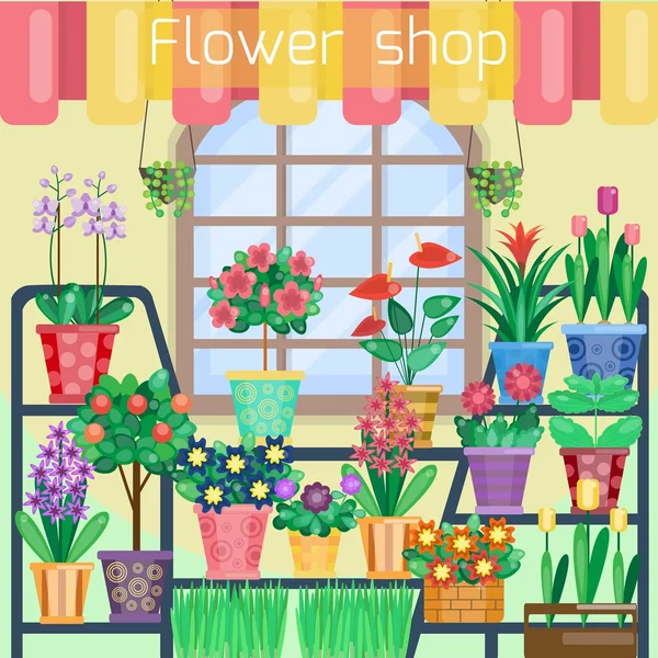 Houseplants on the showcase in flower shop — Stock Vector