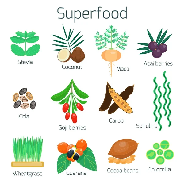 Produits sains pour végétalien. Superfood set — Image vectorielle