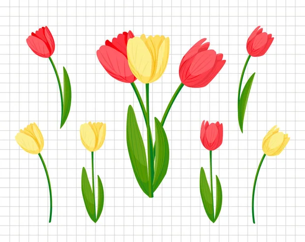Printemps Bouquet Tulipes Pour Femme Cadeau Floraison Rouge Jaune Illustration Vecteur En Vente