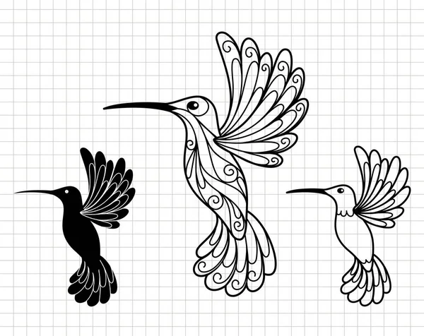 Progettazione Colibrì Design Della Decorazione Curva Illustrazione Piatta Del Vettore Illustrazione Stock