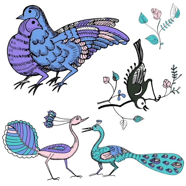 Set di uccelli multicolori disegnati a mano — Vettoriale Stock