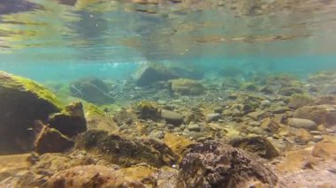 Skokomish Nehri su altında