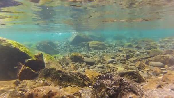 Rivière Skokomish Sous l'eau — Video