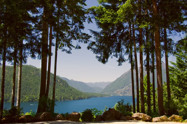 夏の湖クッシュマン — ストック写真