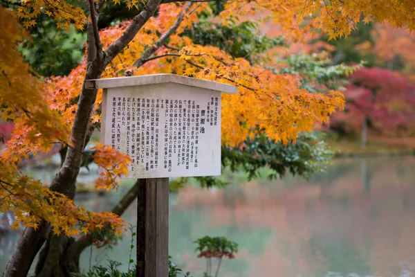 Japanse esdoorn in de herfst in Japan — Stockfoto