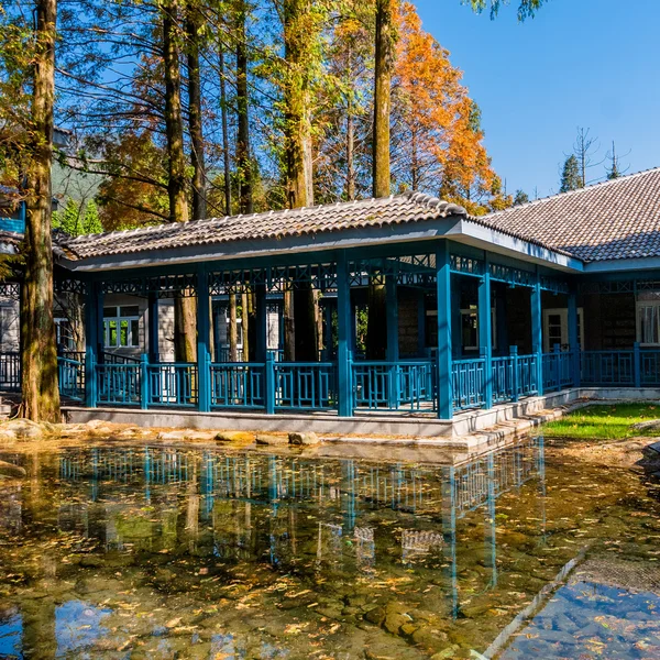 Giardino in autunno — Foto Stock